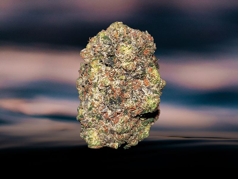 Moonshine craft cannabis bud