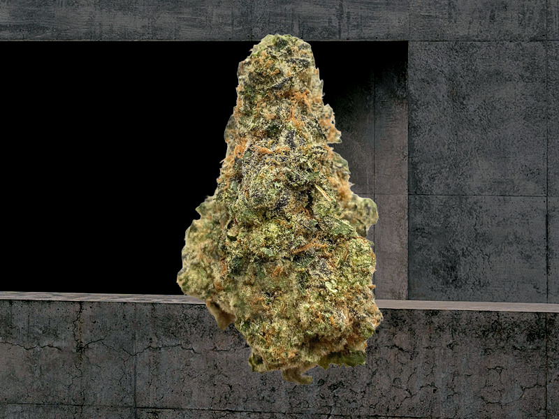 The Town craft cannabis bud