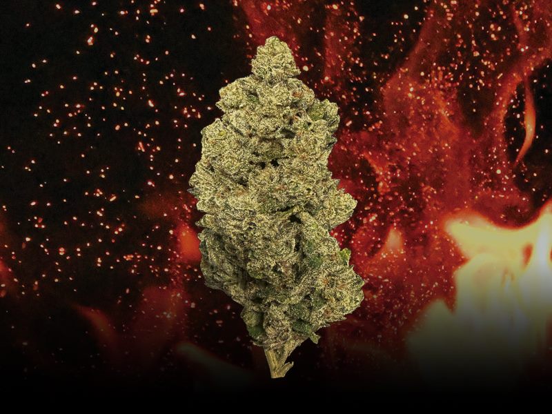 Flawless Victory craft cannabis bud